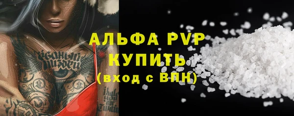 PSILOCYBIN Белокуриха